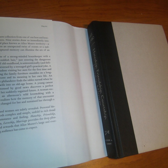 Hateship Friendship Courtship Loveship Marriage - Picture 5 of 8